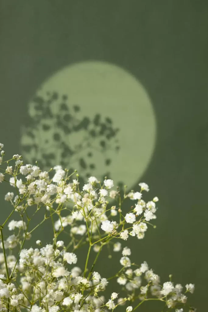 Twigs with small white flowers