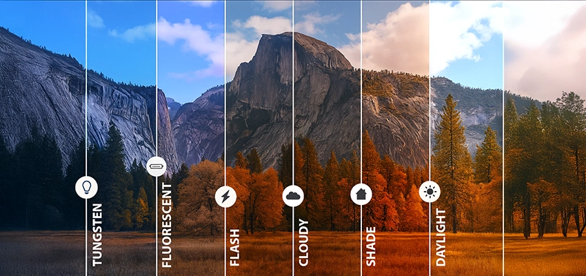White balance in photography